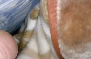 XXX 妈妈教fitonash的女儿在体育记者上做爱是公鸡。 超级毛茸茸的同性恋色情片